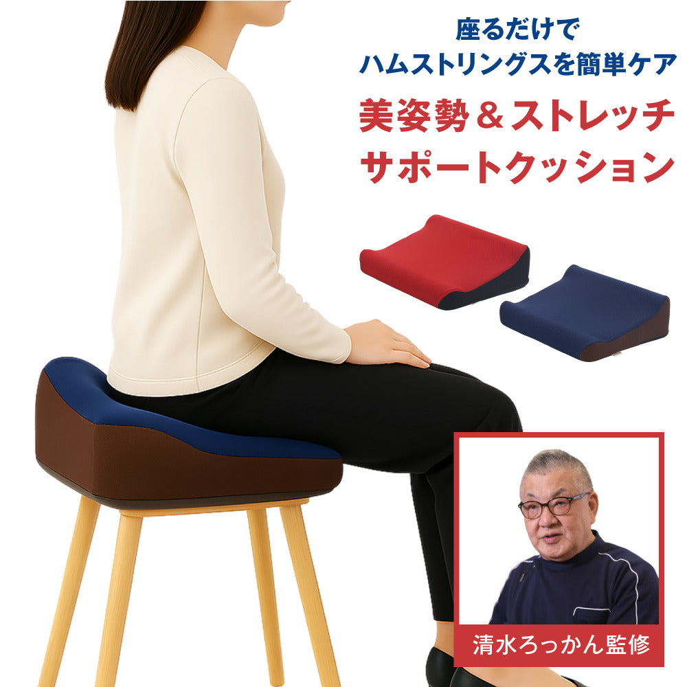 ろっかん式 ストレッチクッション 骨格矯正界のゴッドハンド清水ろっかん 監修